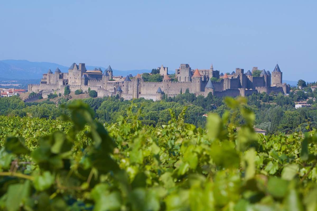 Tout Confort ! Calme, Climatisation, Vue Degagee, Ville ,Parking Gratuit, Ascenseur, Wifi Carcassonne Eksteriør billede