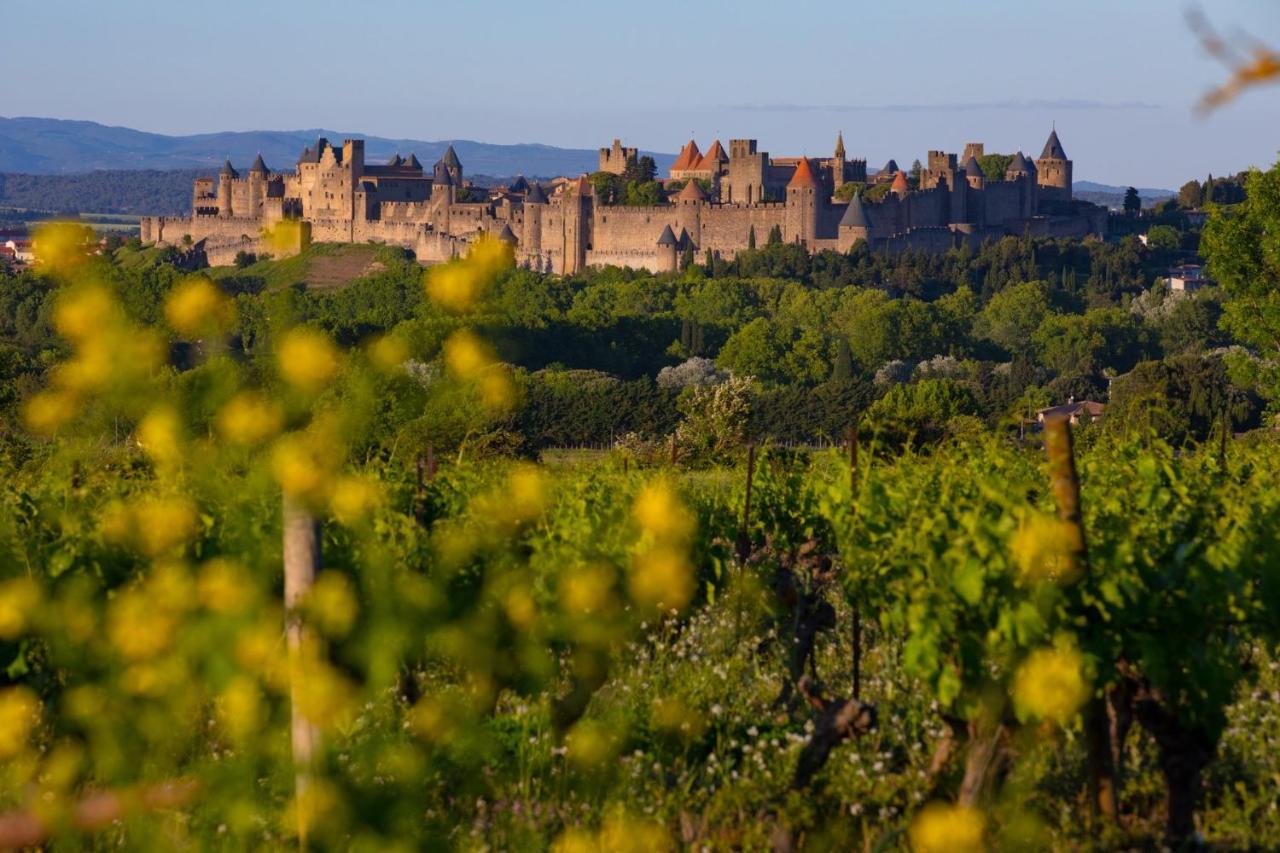 Tout Confort ! Calme, Climatisation, Vue Degagee, Ville ,Parking Gratuit, Ascenseur, Wifi Carcassonne Eksteriør billede