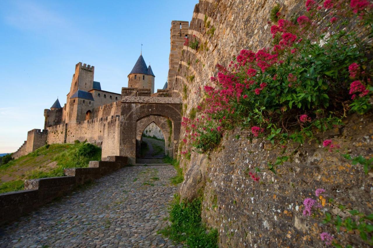 Tout Confort ! Calme, Climatisation, Vue Degagee, Ville ,Parking Gratuit, Ascenseur, Wifi Carcassonne Eksteriør billede